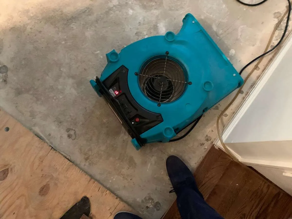 Air mover drying subfloor during Leak Detection & Repair in Collier